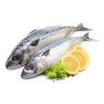 Fresh-mackerel-800×800